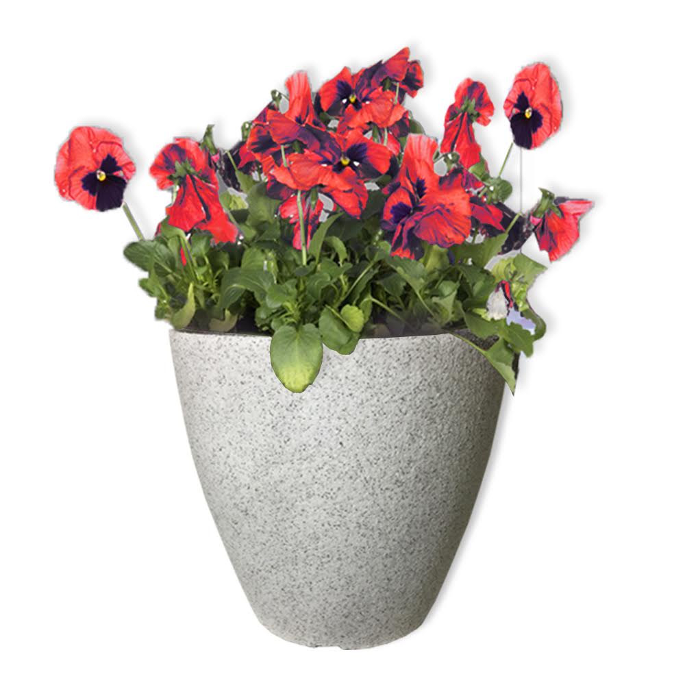 Large Desert Planter main image 0